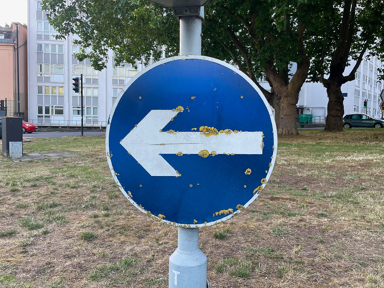 Road sign - arrow - with litchen