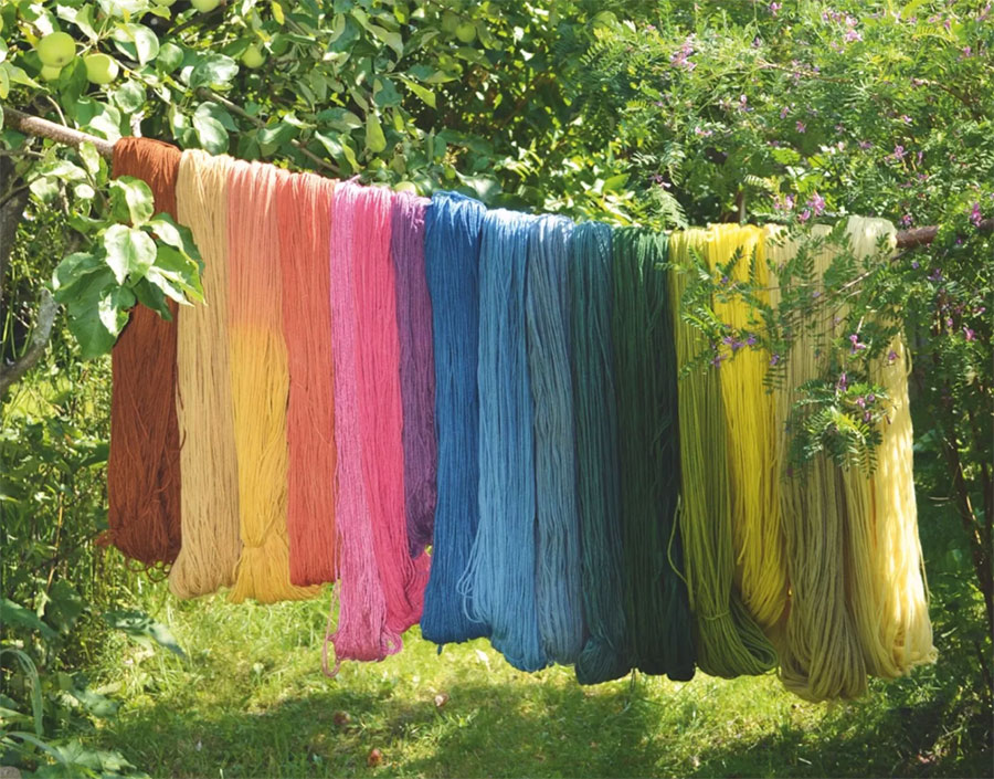 Threads drying in a tree