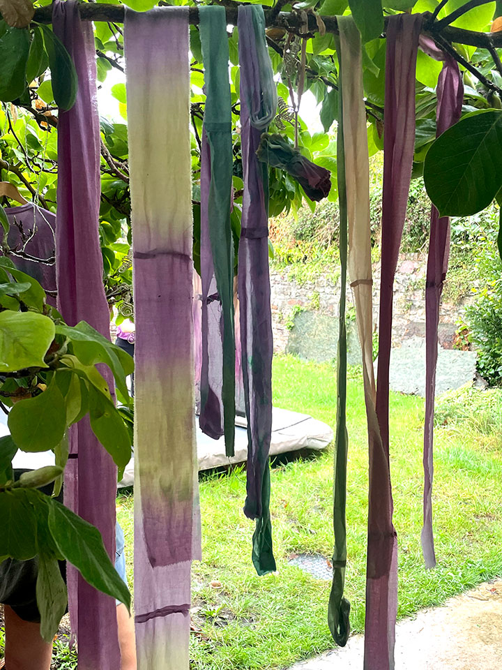 Threads drying in a tree