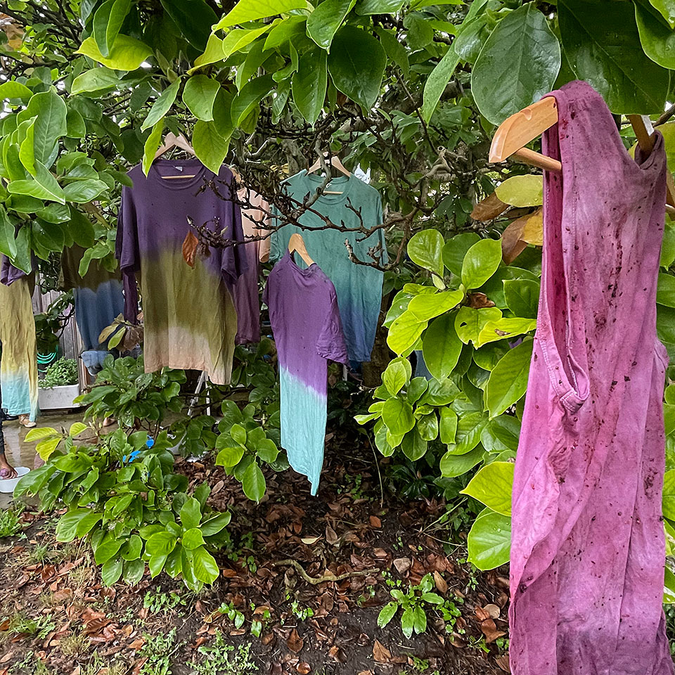 Dyed t-shirts hanging under a tree